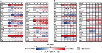 IL-1β and TNFα Differentially Influence NF-κB Activity and FasL-Induced Apoptosis in Primary Murine Hepatocytes During LPS-Induced Inflammation